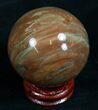 Colorful Petrified Wood Sphere #8566-1